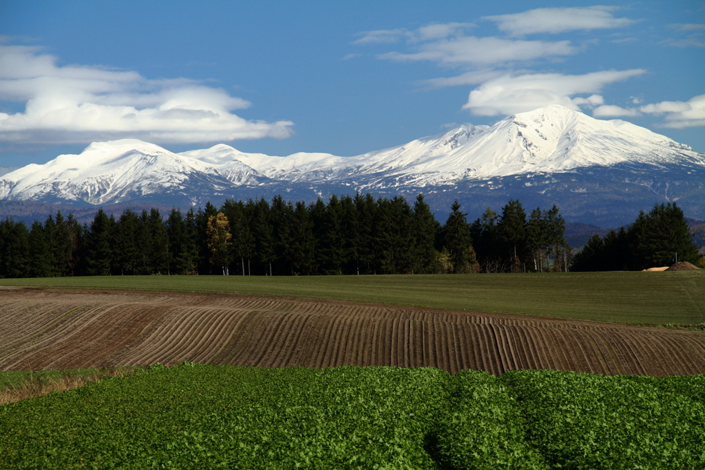 Mountains from the Hill 