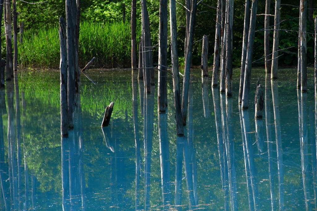 水鏡