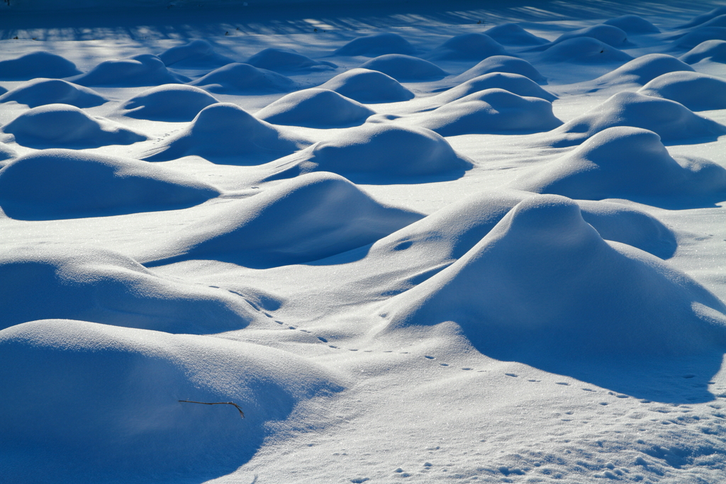 雪原の塊