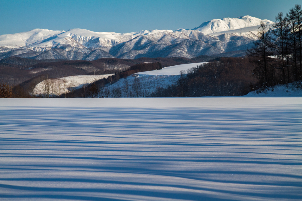 トムラウシ山を望む