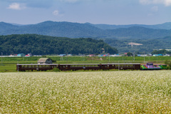 富良野・美瑛ノロッコ号