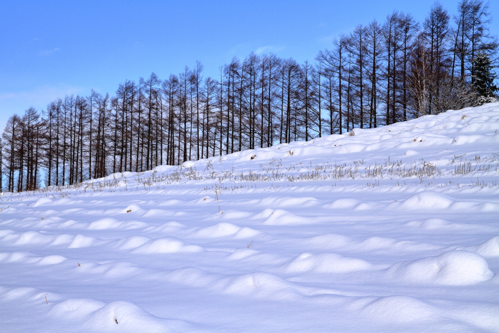 雪模様