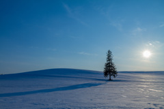 雪の砂漠