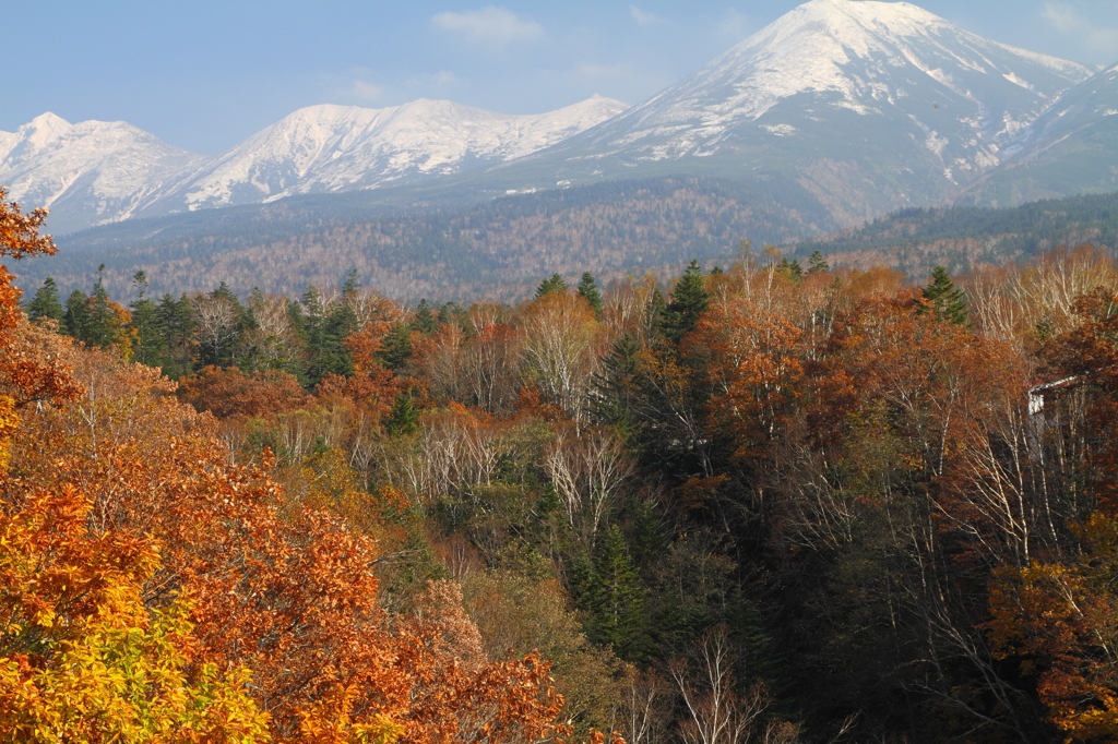 大雪の山と紅葉