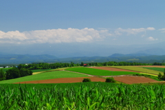 丘の風景