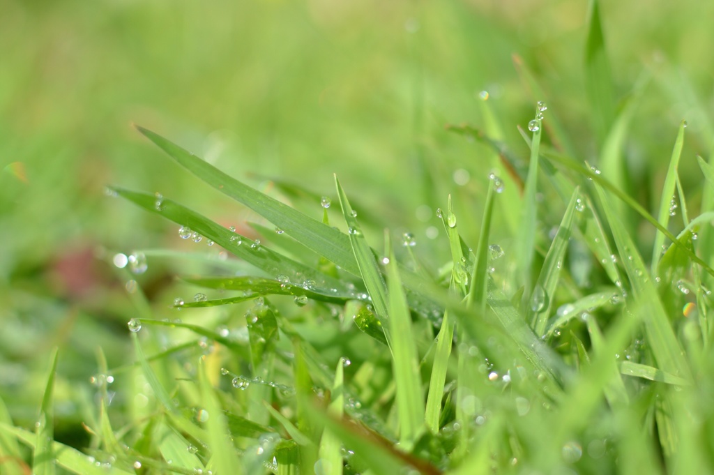 雨上がり