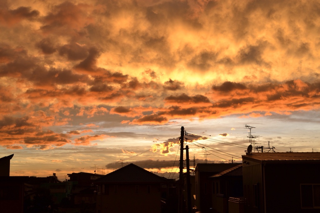 夕陽