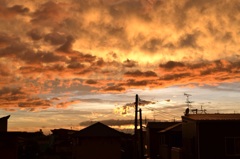 夕陽