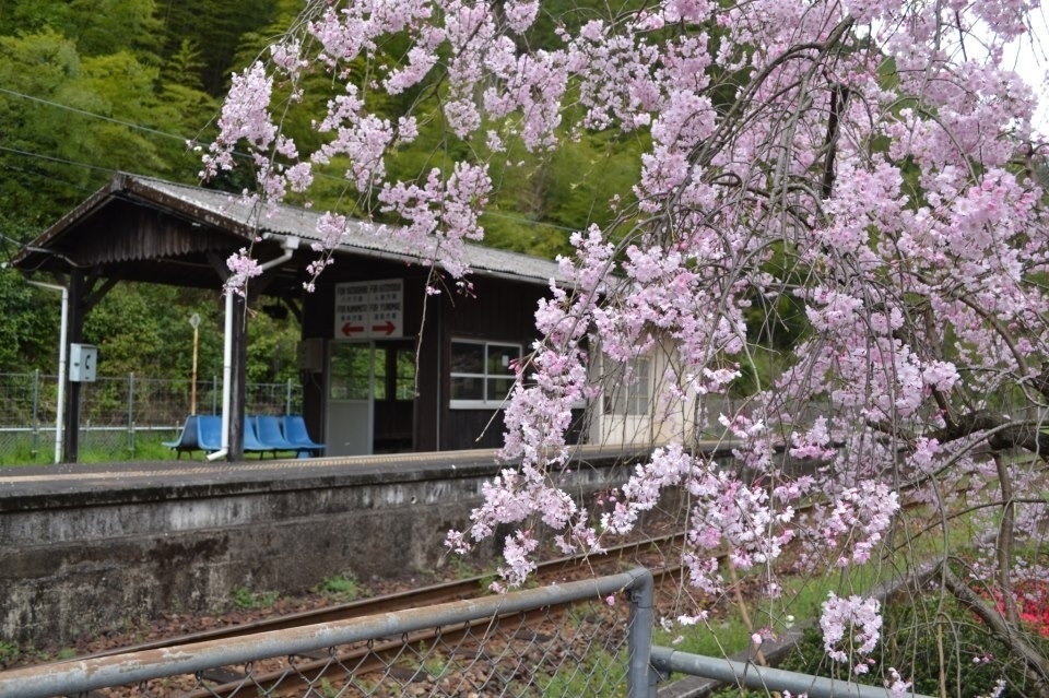 春の無人駅