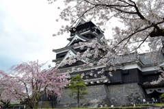 春の熊本城