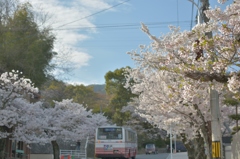 懐かしき風景