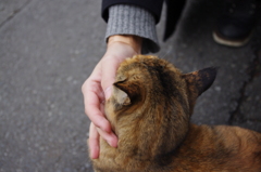 触れ合い