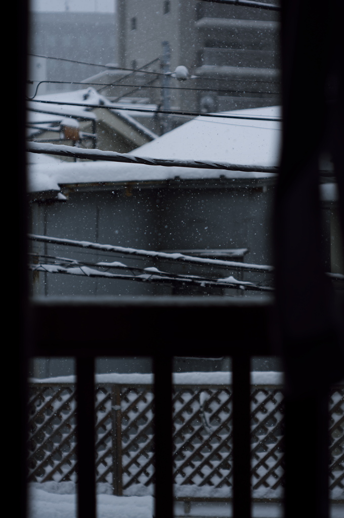 窓からの雪景色