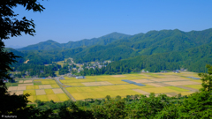 金色の稲川町