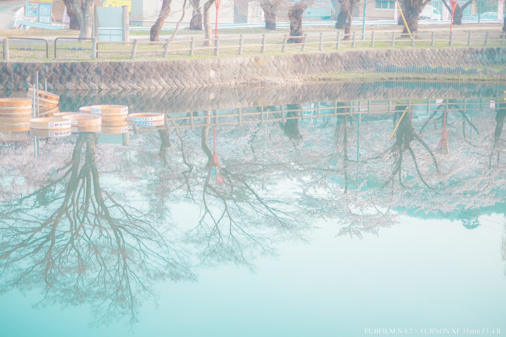 たらいこぎ大会前