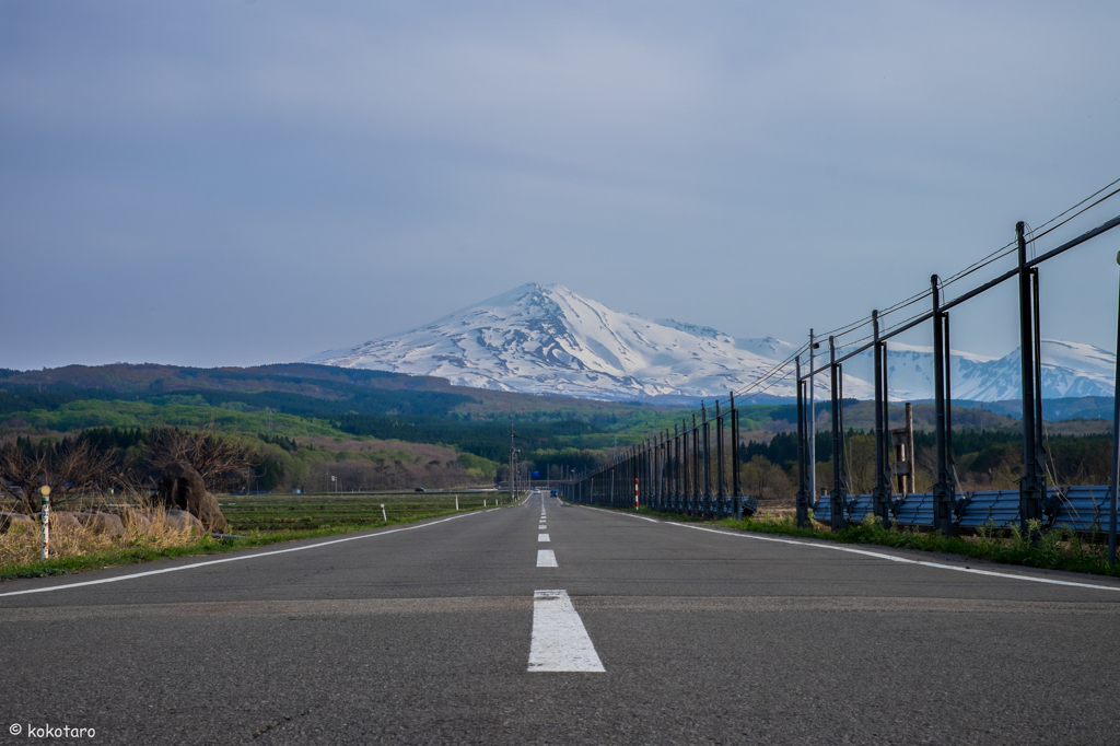 鳥海山へ続く路