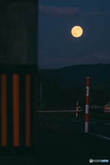 BEAVER MOON