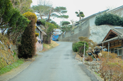 海風は路地を