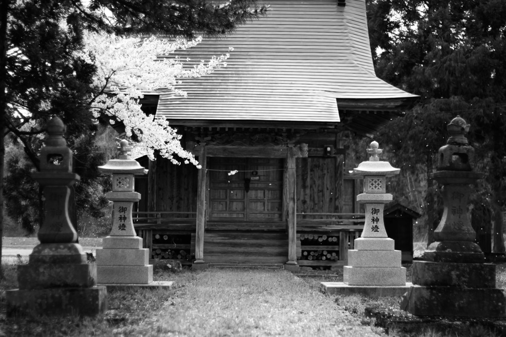 春過ぎゆく神社