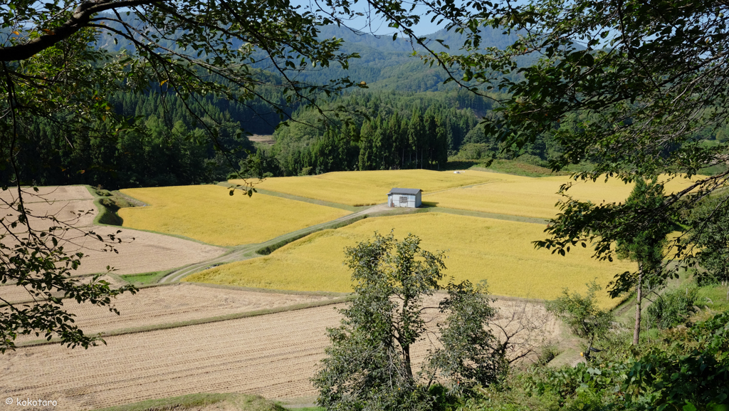 Minase Snap (皆瀬)