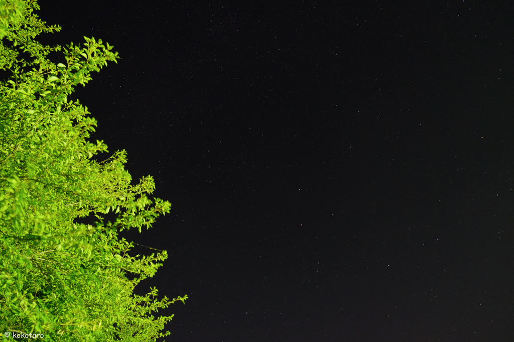公園の夜空