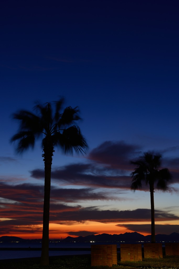Evening glow of summer