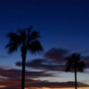 Evening glow of summer