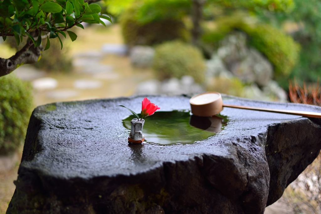 花一輪