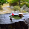 花一輪