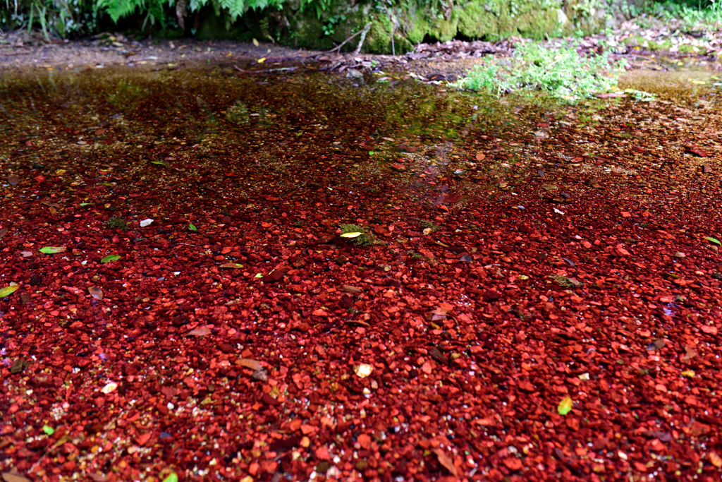 Red stone