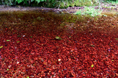 Red stone