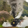 発車