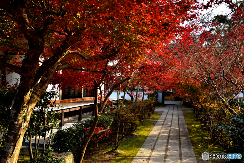 永興寺の紅葉