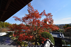 白野江植物園