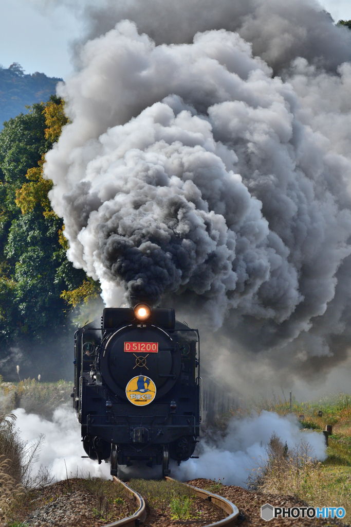 Ｄ51 44年ぶりの復活運転、往路大山路踏切。