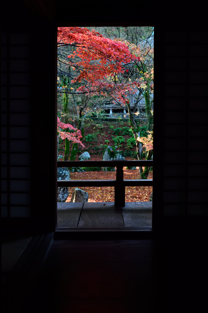 光明禅寺庭園