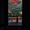 光明禅寺庭園