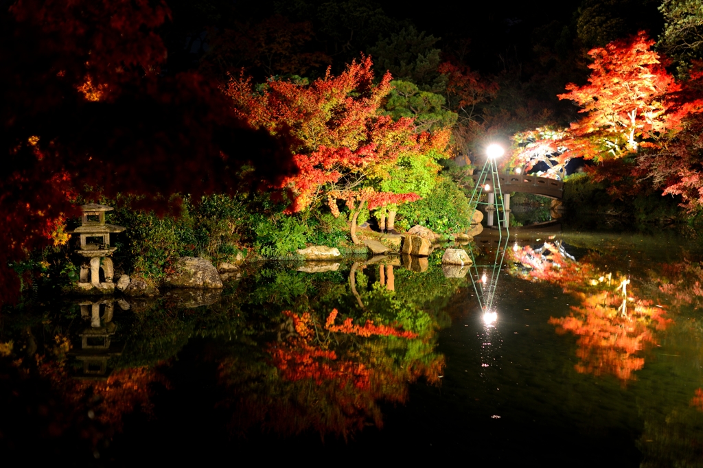 紅葉ライトアップ水鏡2013-②