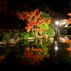 紅葉ライトアップ水鏡2013-②