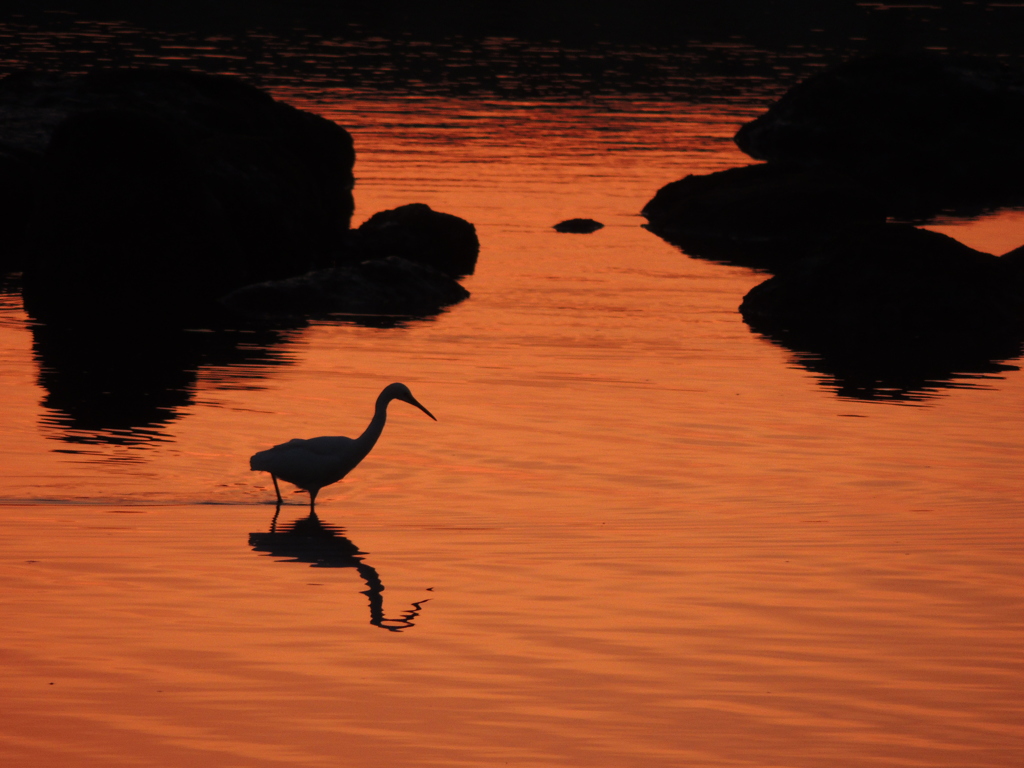 夕景1
