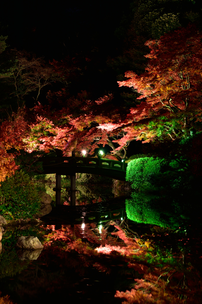 紅葉ライトアップ水鏡2014②