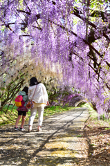 花のトンネル