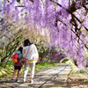 花のトンネル