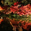 紅葉ライトアップ水鏡2013-③