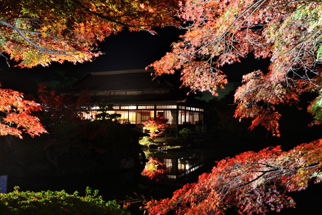 紅葉ライトアップ水鏡2013-④