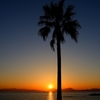 夕日
