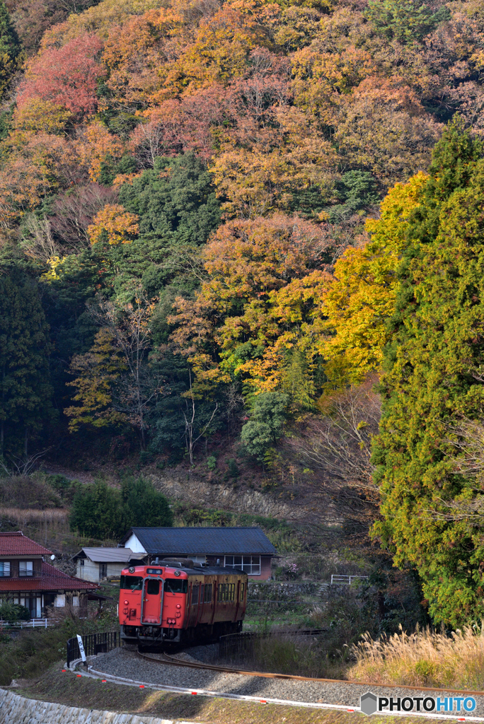 晩秋の山口線