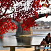錦帯橋の紅葉