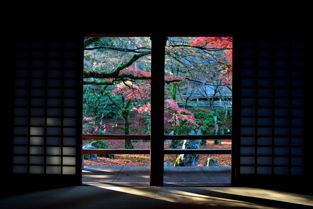 光明禅寺の朝