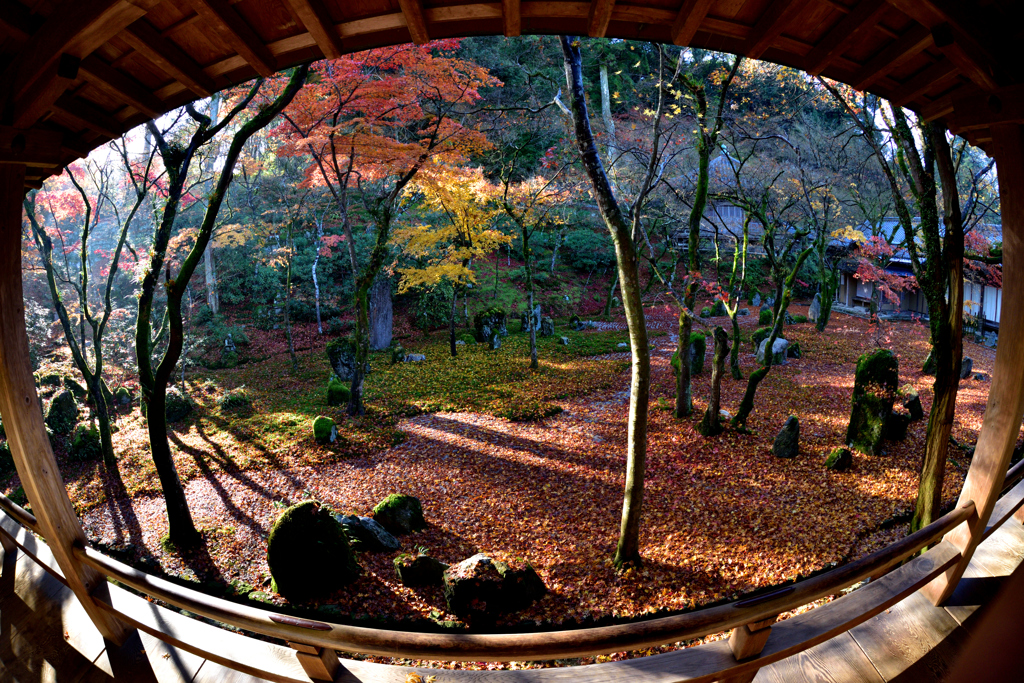 光明禅寺庭園全景